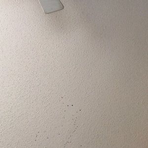 Meet your Posher, Layla